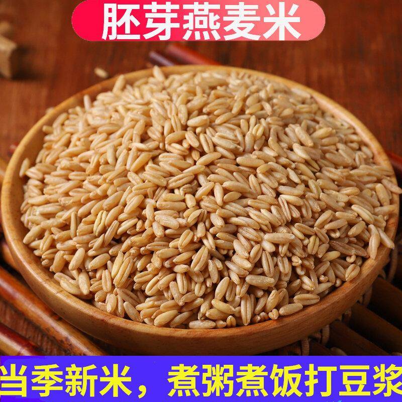 燕麦米5斤新米2025年全胚芽生燕麦米孕妇农家粗粮五谷杂粮新货