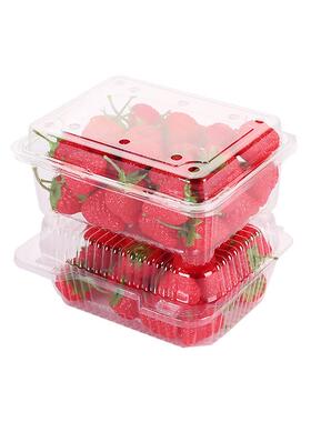 一次性水果盒1莓5MDS00g草盒三斤盒装明塑透料包装水果打包子