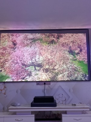 客观分析投影仪峰米FMWS01C和极米Z6哪个好，差别大不大？