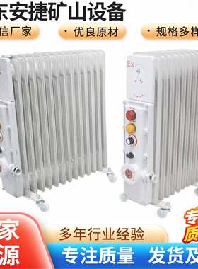 包邮/防爆电暖器9片1500W 11片2000W 13片取暖器220V防爆电热油汀