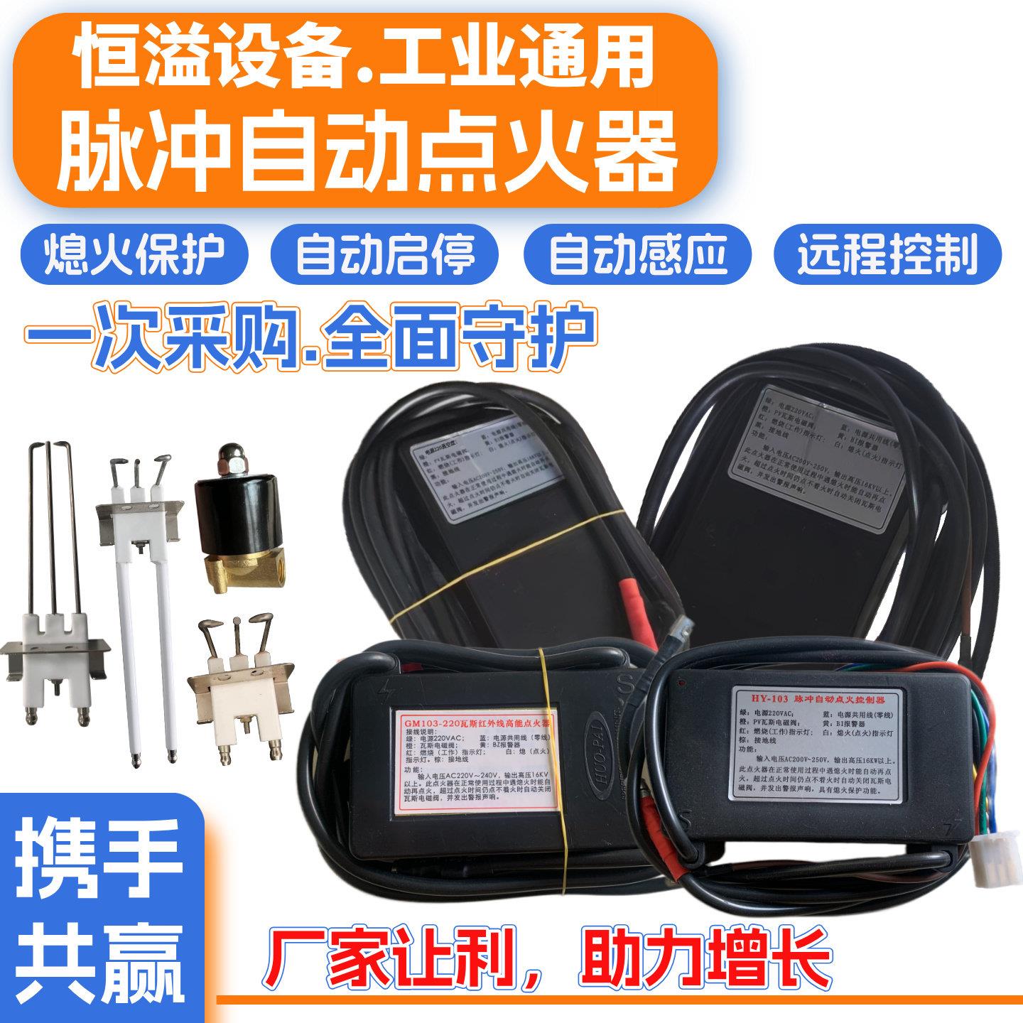 220V脉冲自动点火器通用工业瓦斯炉头远程点火自动检测熄火保护