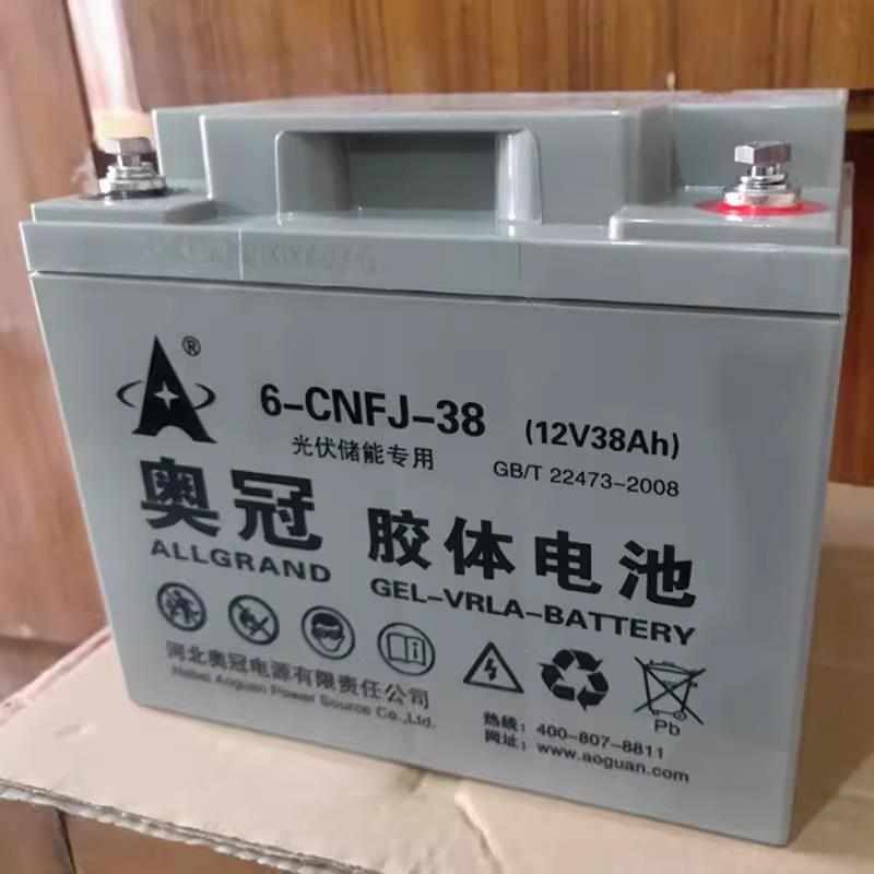 奥冠胶体蓄电池6-GFM12V20AH12V24AH12V38AH12V65AH12V120AH