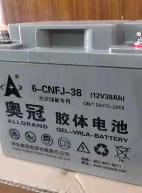 奥冠胶体蓄电池6-GFM12V20AH12V24AH12V38AH12V65AH12V120AH