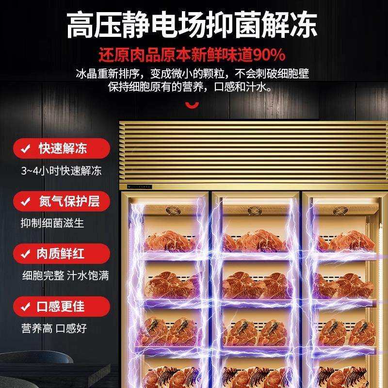 牛肉干湿式熟成柜红酒柜恒温商用冷藏西餐厅和牛冷冻展示柜排酸柜