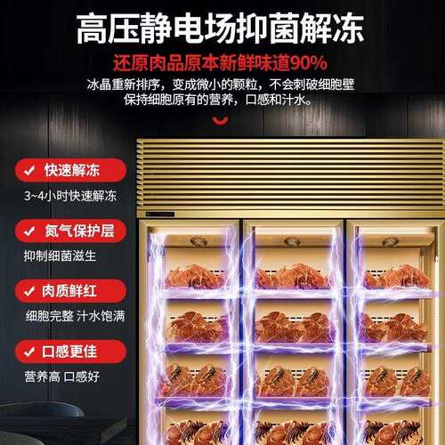 牛肉干湿式熟成柜红酒柜恒温商用冷藏西餐厅和牛冷冻展示柜排酸柜