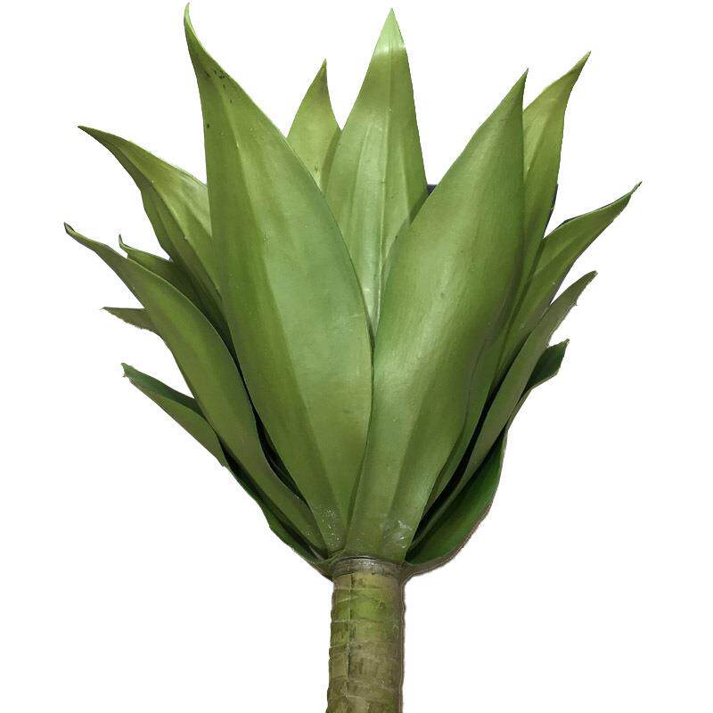 物剑兰仿植热真带家绿植多肉植物厂北欧家居装饰摆件大植CF3269物