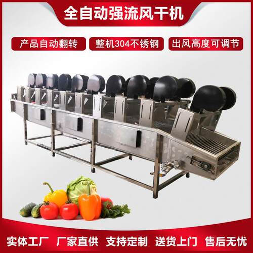 休闲食品清洗沥水风干机酱料包表面水分风干设备水果清洗风干线