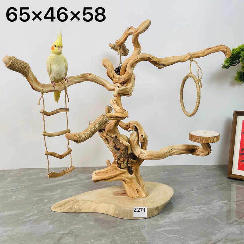 (一物一拍)原木鹦鹉小鸟站架手串收纳装饰小鸟站杆树枝摆件文玩