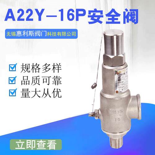 集团A22W/F/Y-16P/25P304不锈钢弹簧全启式安全阀DN25