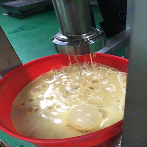新款生姜果蔬螺旋榨汁机 工业大葱烂菜叶菜椰肉榨汁机