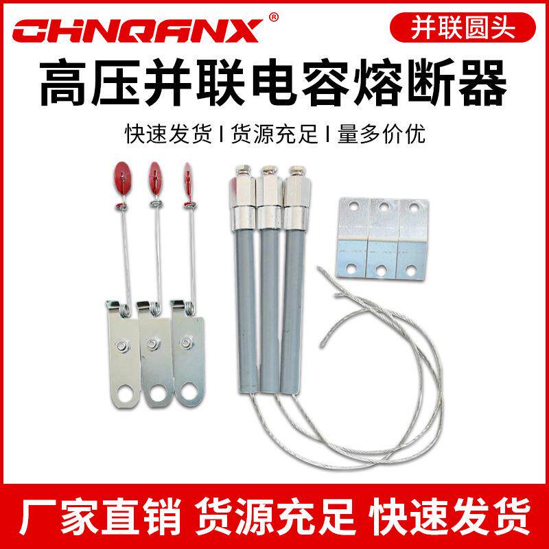BR2BRNBRW-10-12KV高压并联电容器30A40A50A65熔断器管保险丝