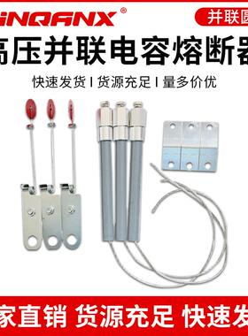 BR2BRNBRW-10-12KV高压并联电容器30A40A50A65熔断器管保险丝