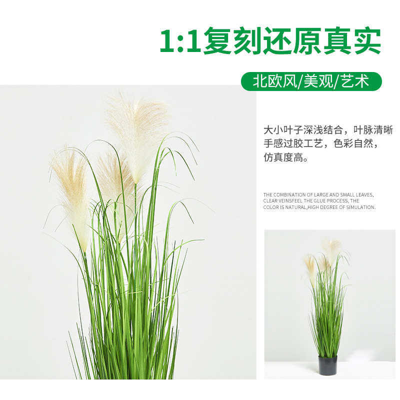 包邮三头仿真芦苇假蒲苇 仿真花洋葱草叶仿生绿植植物花卉盆栽