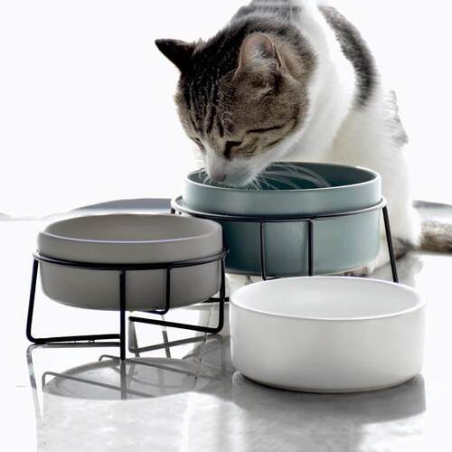 bowl ceramic single - double pet dog food bowl cat 喂 食碗