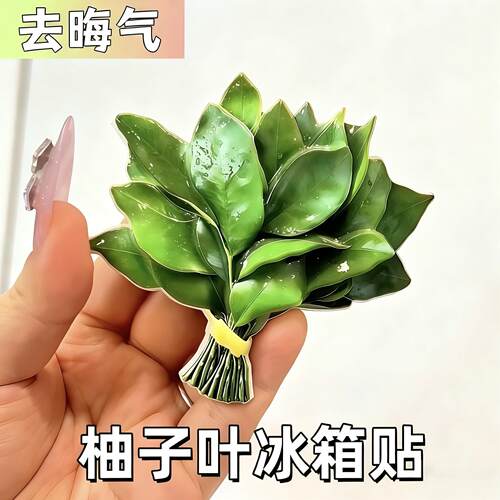 柚子叶冰箱贴去晦气磁贴转运个性创意磁吸装饰可爱趣味高级亚克力