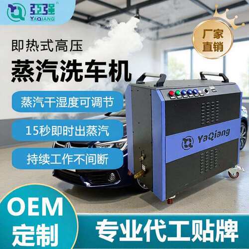工业蒸汽清洗机移动式蒸汽洗车机节水洗车清洁油污 蒸汽洗车机