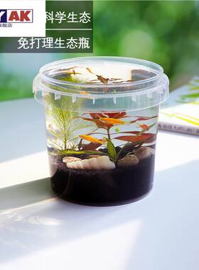 桌面迷你小鱼缸自循环生态瓶微景观小虾微观造景生态全套作业
