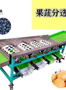商用樱桃选果机轨道式百香果拣果设备不锈钢西梅水果拣果机