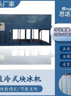 海南10吨直冷块冰机 水产果蔬保鲜运输冰砖机 工业降温冰块制冰机