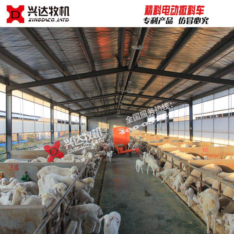 XD-SLC羊场饲料车育肥羊预混料养羊电动加料车