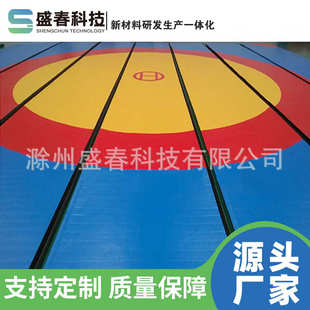 跆拳道垫子搏击无缝xpe卷垫柔术摔跤健身武术格斗拳击馆地垫厂家