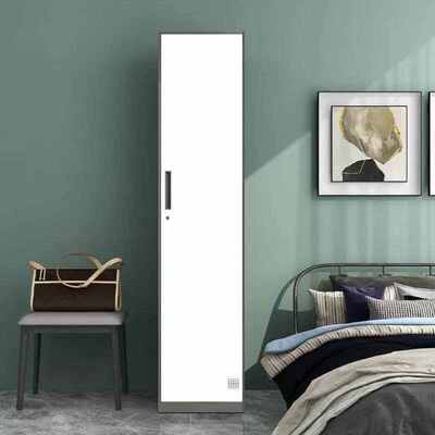 洛克菲勒员工更衣柜宿舍铁皮衣柜钢制储物柜健身房浴室换衣柜带锁