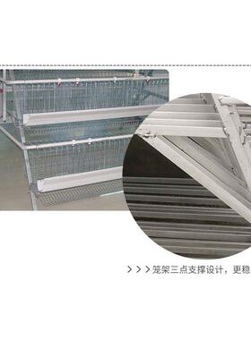 4 layers 5 nests 160 capacity layer chicken cage
