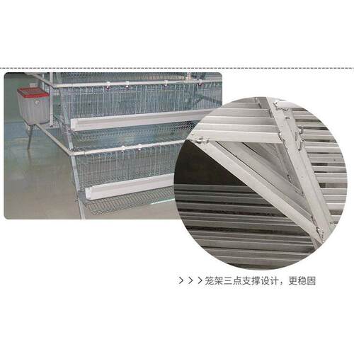 4 layers 5 nests 160 capacity layer chicken cage