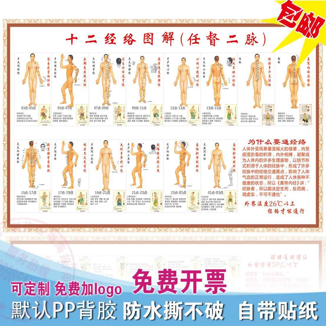 人体十二经络穴位图解任督二脉挂图 中医人体骨骼结构图海报贴纸