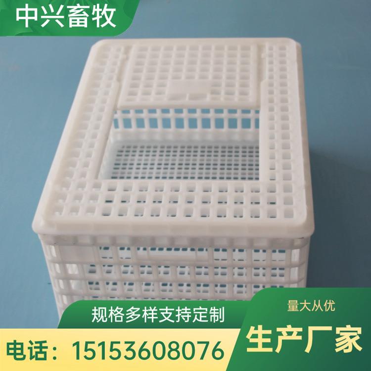 厂家塑料鸡筐 方形运鸡筐 加厚成鸡周转笼 鸡鸭笼塑料筐