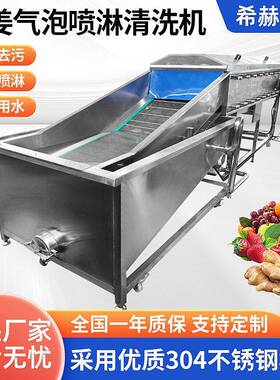 生姜清洗机水果蔬菜清洗设备多功能自动洗菜机按需制作商用清洗机