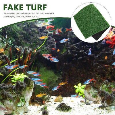 Turtle Basking Terrace Turf Yard Sea turtle Platform