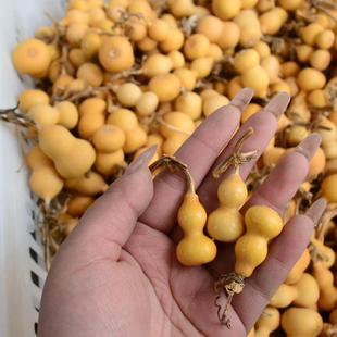 小葫芦挂件天然草里金手捻文玩把玩特龙头把件2.5-3.5厘米绕指