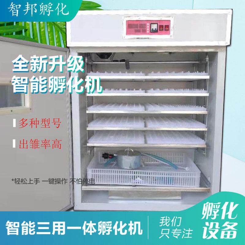 880中小型鸡鸭鹅鸽鸟孔雀蛋孵化器孵化箱小鸡孵蛋器孵化机全自动