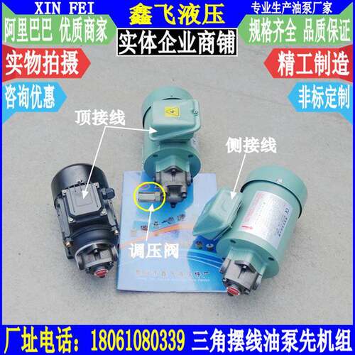 TOP-10A 11A 12A 13A 1/4HP马达 三角摆线油泵浦电机组装置螺丝机