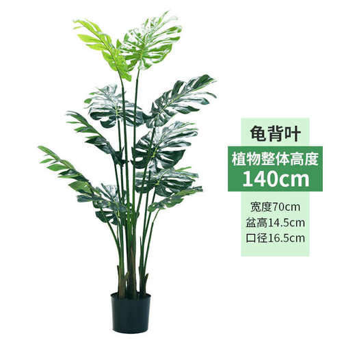 虎皮植北欧大型盆栽落地仿真蕉绿植物假兰龟背室内装饰盆景旅人叶