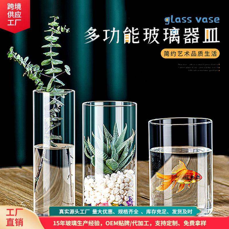 简约玻璃花瓶绿萝水培生态瓶子直筒花瓶微景观摆件分装玻璃罐