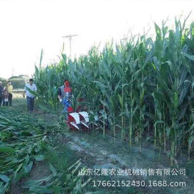 手推式艾草苜蓿多功能收割机 席草黑麦草割倒机 柳条桑条割晒机