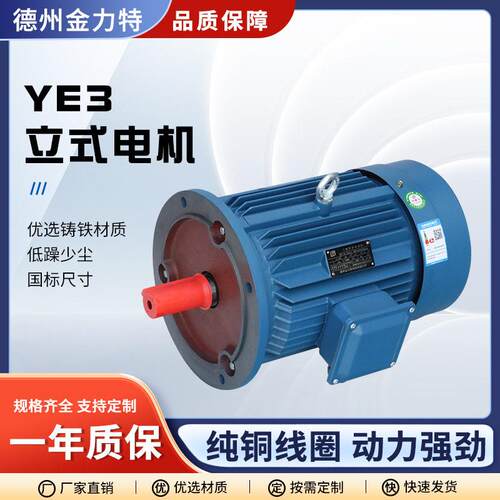 现货销售YE3三相异步电动机YE3-100L-61.5w设备用三相异步电机