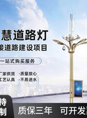 博恩照明城市道路智慧路灯LED显示屏监控充电桩一体化智慧路灯