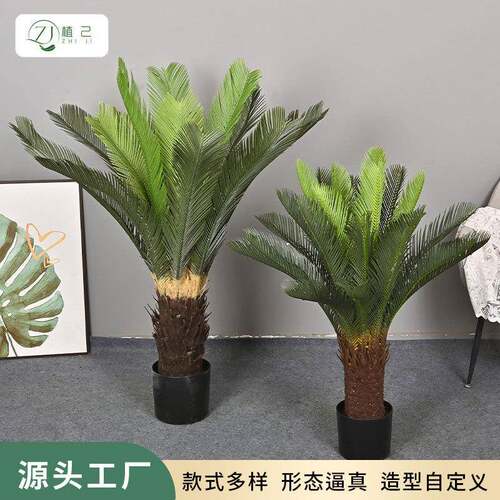 仿真绿植苏铁树盆栽室内家居酒店商场造景落地装饰植物摆件假树
