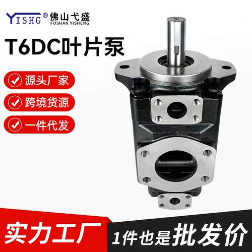 双联叶片油泵T6DC-050-003 008 010 014 020 025 028 031-1R00-B1