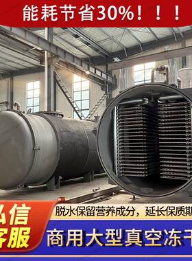 50平方沙棘果冻干机果蔬冻干设备沙棘果汁真空冷冻干燥机果茶块