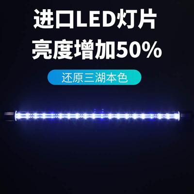 幽影三湖灯三湖慈鲷专用灯萨伊蓝白增艳引色鱼缸灯LED灯防水神灯