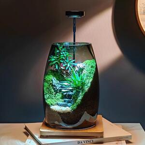 成功之路景观瓶生命之树创意苔藓微摆件办公室桌面缸绿植造景盆景