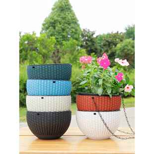 垂吊绿吊懒兰花盆悬CW9 挂式塑料藤编吊篮人吸水挂壁萝常春吊藤球