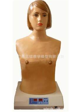 全自动心肺触诊听诊模拟人（单机版）心肺触诊 体征的部位及特征
