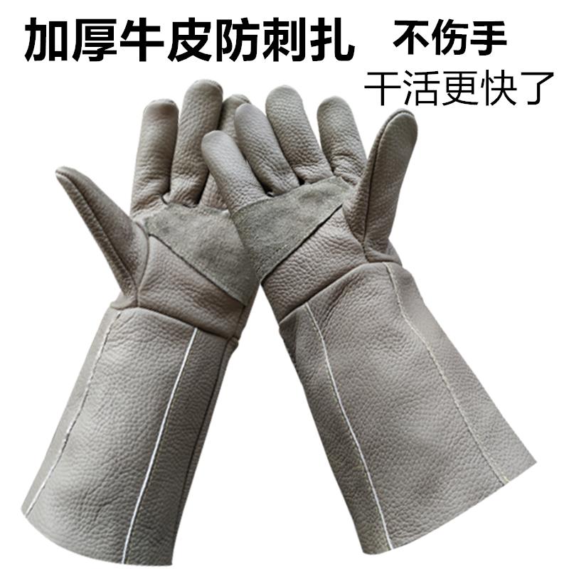 捡板栗防刺手套防扎加厚园艺刺穿通用花椒月季板栗扎劳动