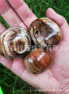 厂家水晶把玩天然木化石原石树化玉手把件手掌石摆件家居摆件