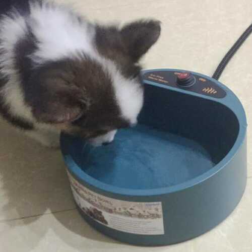 外贸新款宠物用品 加热碗狗狗塑料碗热水饮水器自动恒温厂家批发